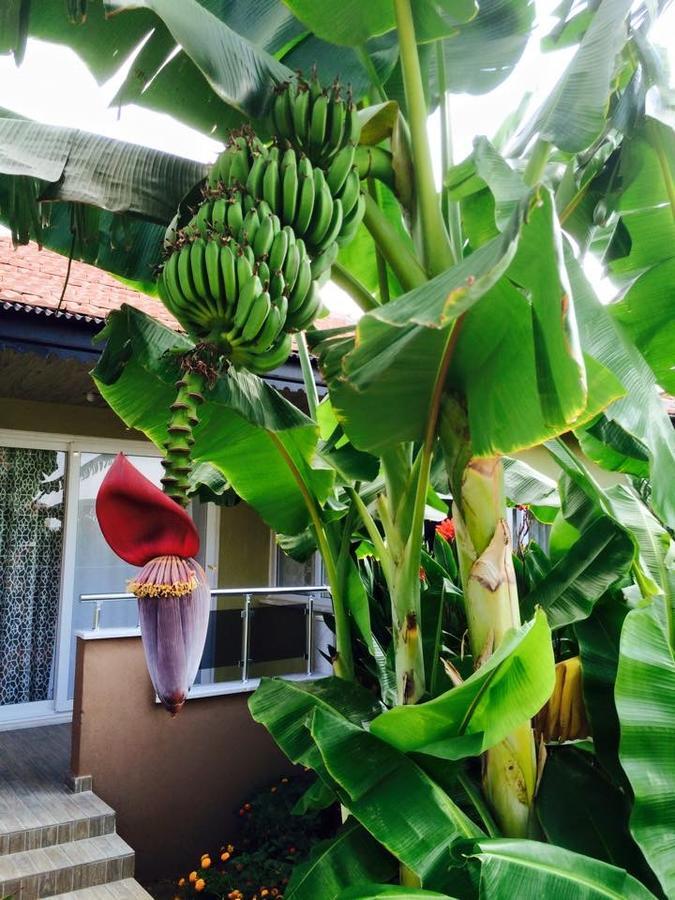 Esmeralda Apart Butik Otel Kizilot Luaran gambar